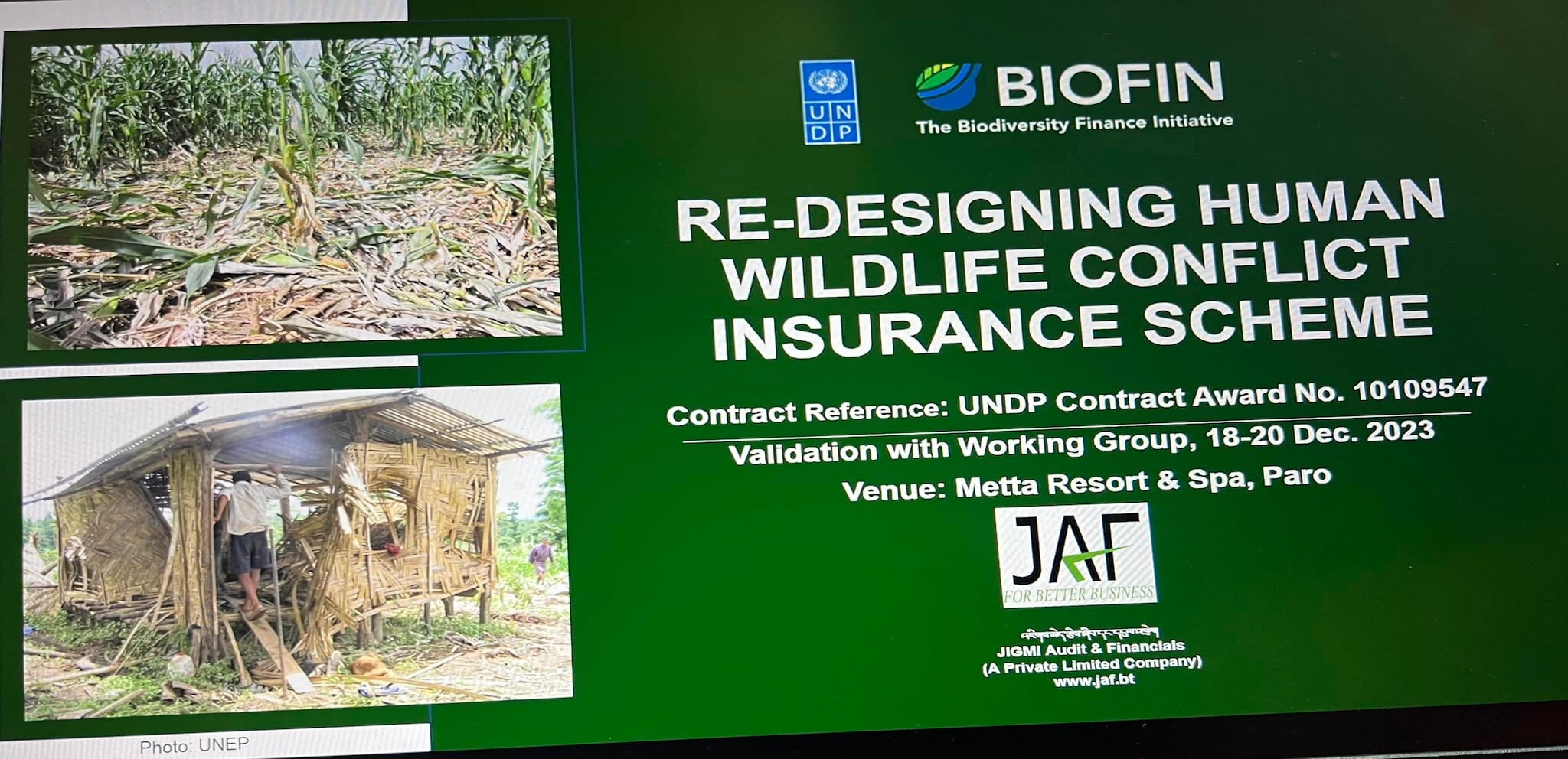 jaf-insurance1